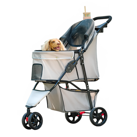 046d32fe-c67e-46b5-9edd-c878df45bbca