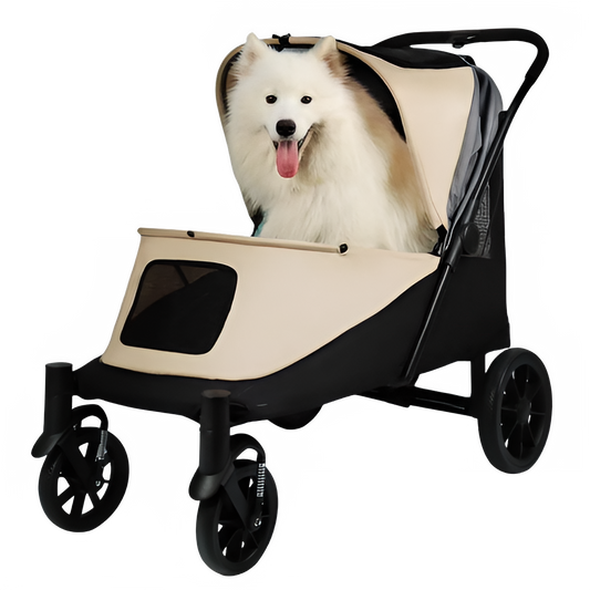 28d6f4b5-6263-42d1-b5c1-99053ea1f2a2